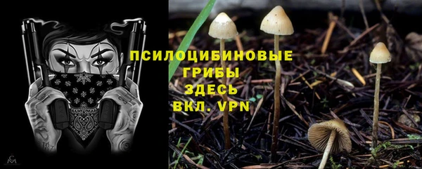 круглые Алексин