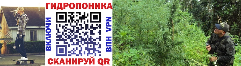 МЕГА   купить закладку  Кимры  Марихуана марихуана 
